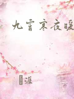 九霄寒夜暖小说