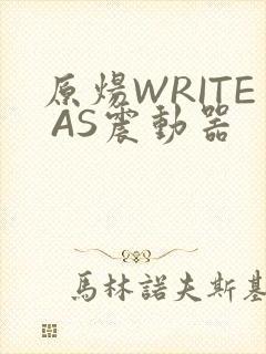 原炀WRITE AS震动器