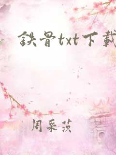 铁骨txt下载