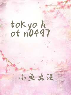 tokyo hot n0497