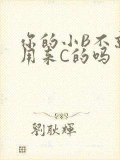 你的小B不就是用来C的吗