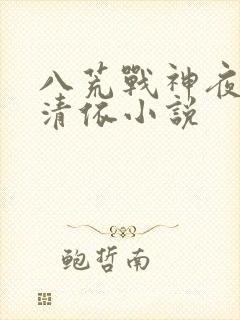 八荒战神夜麟云清依小说
