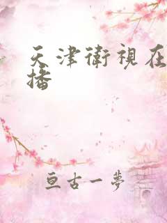 天津卫视在线直播