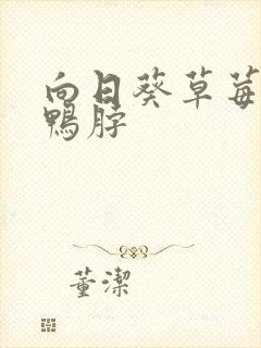 向日葵草莓丝瓜鸭脖