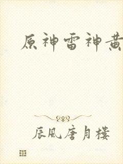 原神雷神黄本本