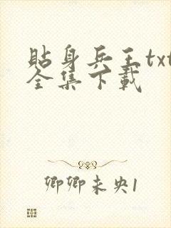 贴身兵王txt全集下载