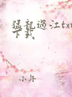 猛龙过江txt下载