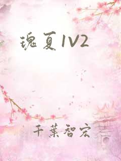 瑰夏1V2
