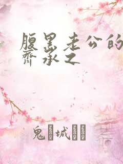 腹黑老公的宠妻齐承之