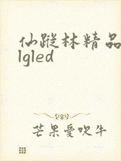 仙踪林精品zzlgled