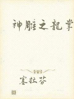 神雕之龙掌门