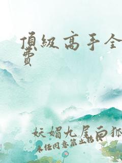 顶级高手全文免费