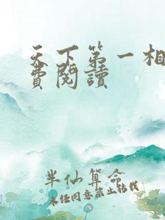 天下第一相书免费阅读