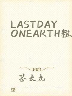 LASTDAYONEARTH粗暴