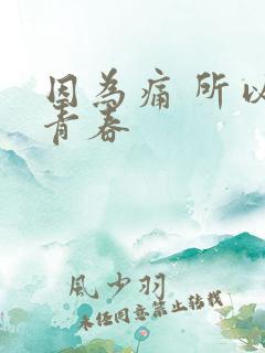 因为痛 所以叫青春