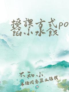 授课方式po肉馅小水饺