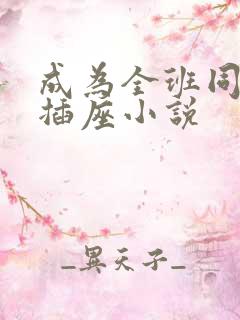 成为全班同学的插座小说