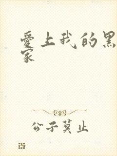 爱上我的黑道冤家