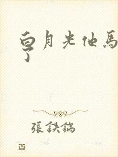 白月光他马甲掉了