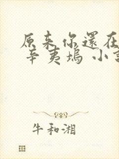 原来你还在这里 辛夷坞 小说