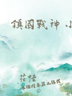 镇国战神 小说
