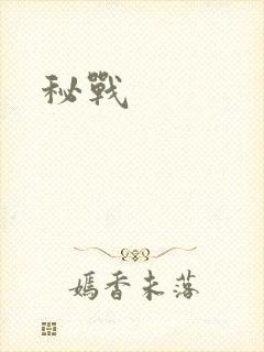 秘战