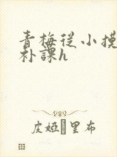 青梅从小摸到大补课h
