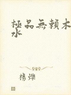 极品无赖木石山水