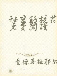 秘密的校花小说免费阅读