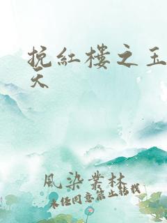 挽红楼之玉舞九天