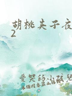 胡桃夹子夜未眠2