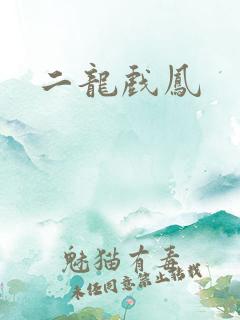 二龙戏凤