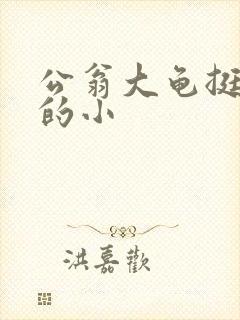 公翁大龟挺进我的小