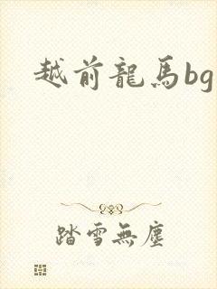 越前龙马bg