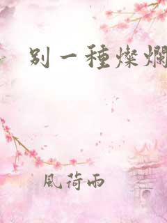 别一种灿烂生活