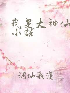 我是大神仙时江小说