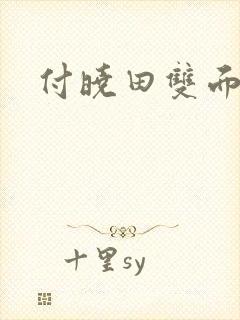 付晓田双面间谍