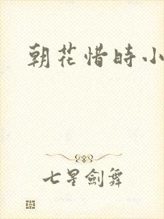 朝花惜时小说