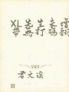 XL先生未增删带无打码翻译