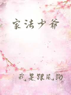 家法少爷