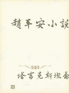 赵平安小说主角