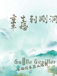 重生到刚洞房的军婚