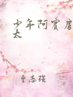 少年阿宾房东太太