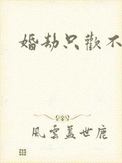 婚劫只欢不爱