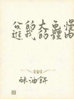 公的大龟慢慢挺进我的体内