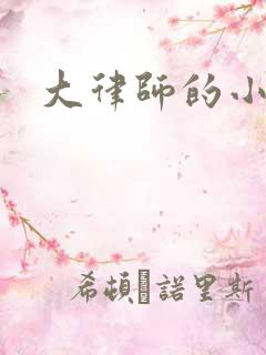 大律师的小老婆