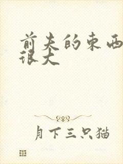 前夫的东西真的很大