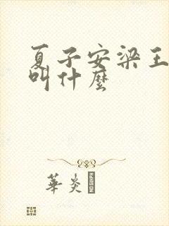 夏子安梁王书名叫什么