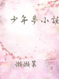 少年梦小说