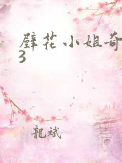 壁花小姐奇遇记3